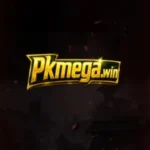 pkmage game