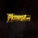 pkmage game