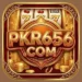 pkr656 game