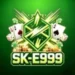 E999 Game For Android