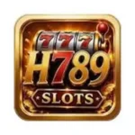 H789 Game For Pakistan